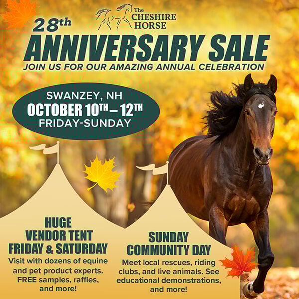 The Cheshire Horse 28th Anniversary Sale